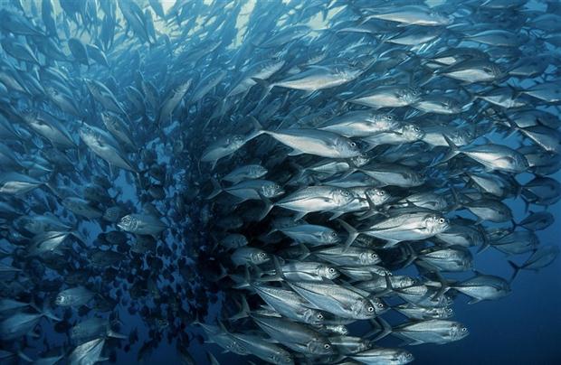 medio-ambiente-2145979w620